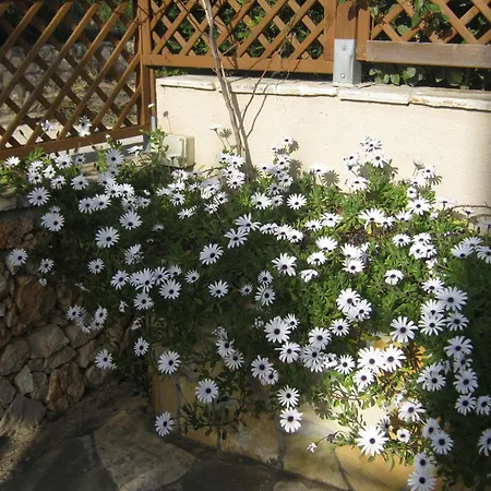 Holiday home Marias Charming Mezonet Fokata