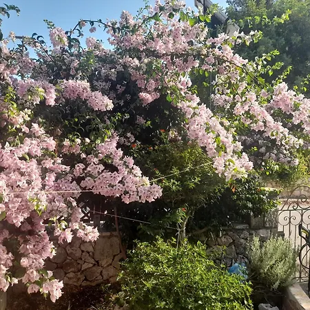 Marias Charming Mezonet Σπίτι διακοπών