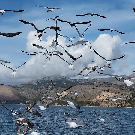 別荘 Marias Charming Mezonet Fokata